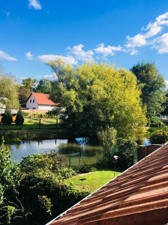 Apartman U Zamecke Dyje Lednice Dış mekan fotoğraf