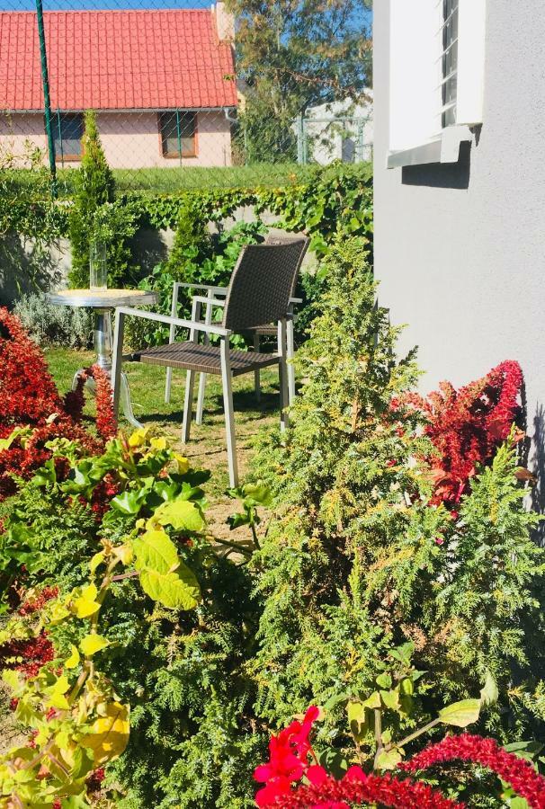 Apartman U Zamecke Dyje Lednice Dış mekan fotoğraf