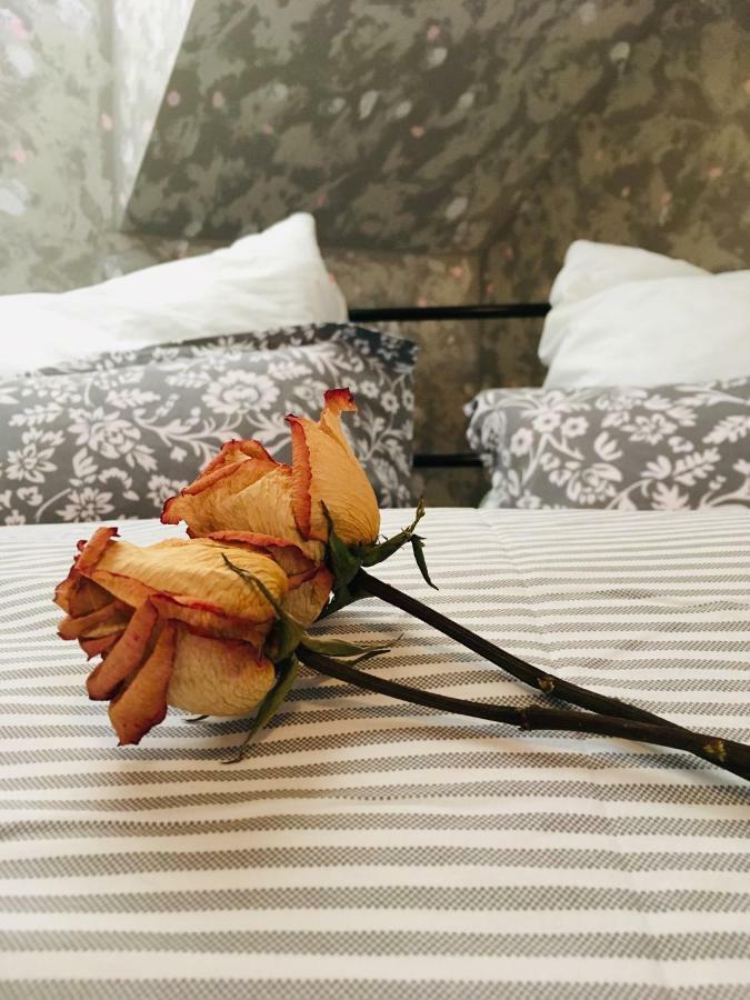 Apartman U Zamecke Dyje Lednice Dış mekan fotoğraf